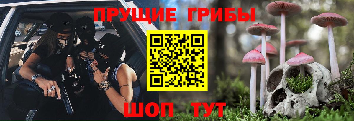 Псилоцибиновые грибы Cubensis  Вход с VPN  цена наркотик  Избербаш 